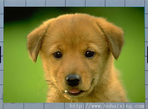 博海星專業(yè)生產(chǎn)P10戶外真彩彩色顯示屏(定做)