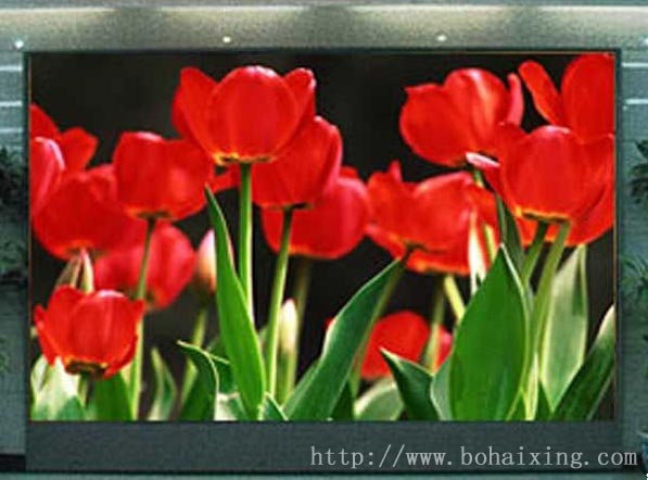 博海星專業(yè)生產(chǎn)P16戶外彩色顯示屏(定做)